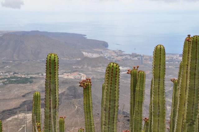 Wandelreis Spanje Tenerife