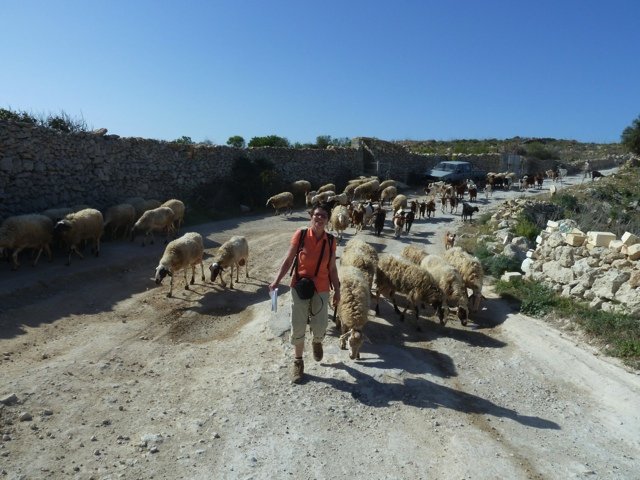 Wandelreis Gozo trektocht