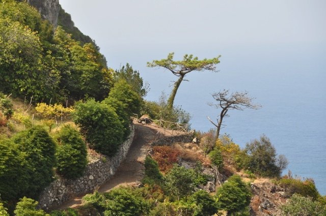 wandelreis Portugal Madeira