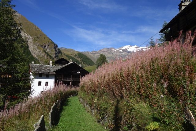 Wandelreis Aosta, Valle del Lys