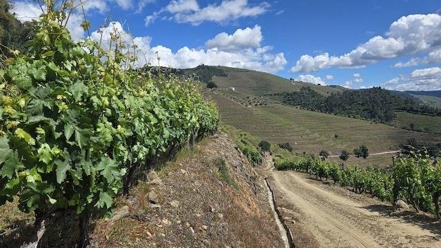 Wandelreis Douro