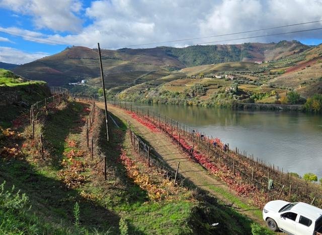 Wandelvakantie Douro