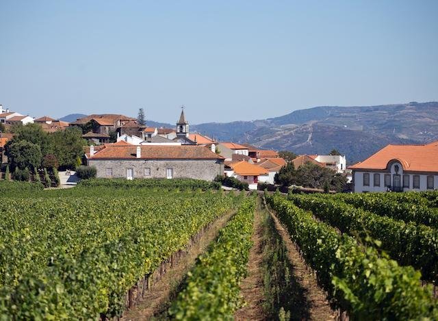 Wandelvakantie Douro