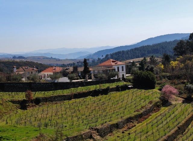 Wandelvakantie Douro