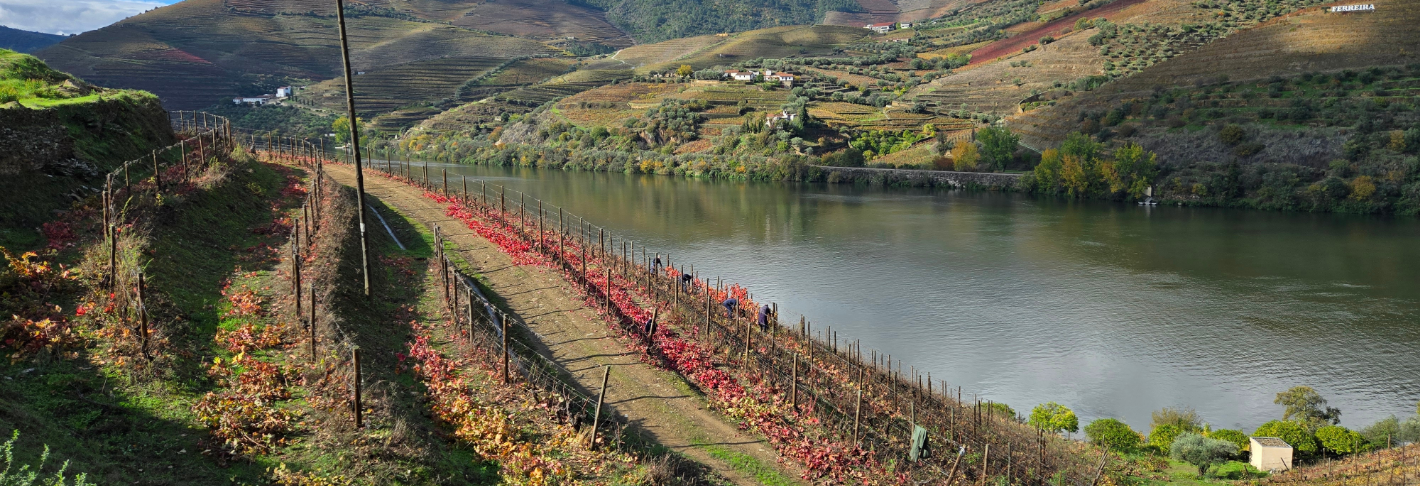 Wandelvakantie Douro