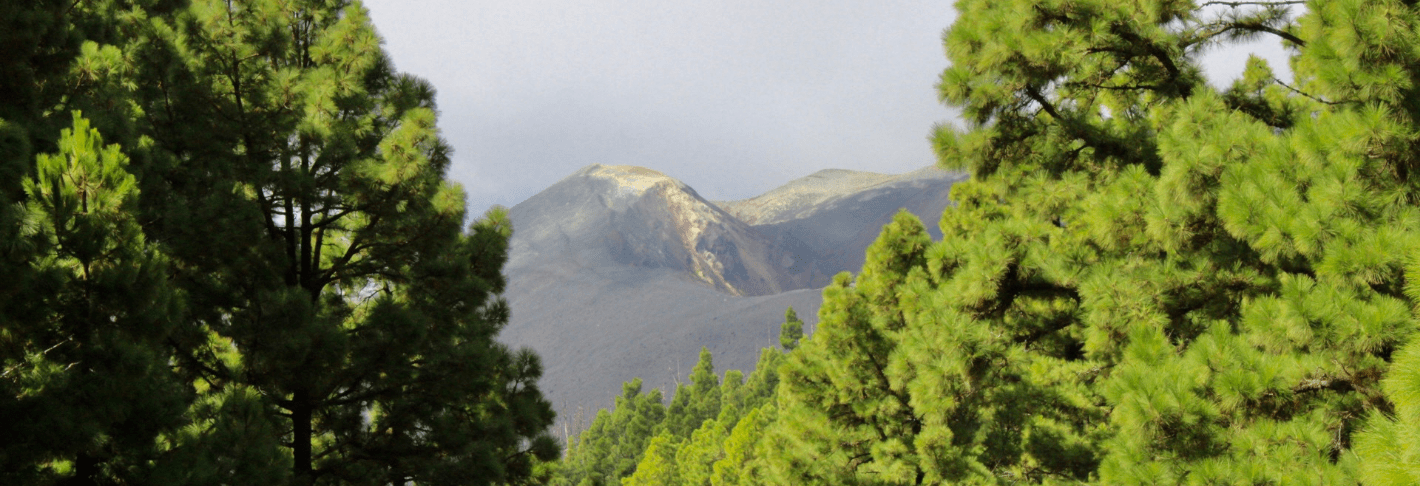Wandelreis La Palma