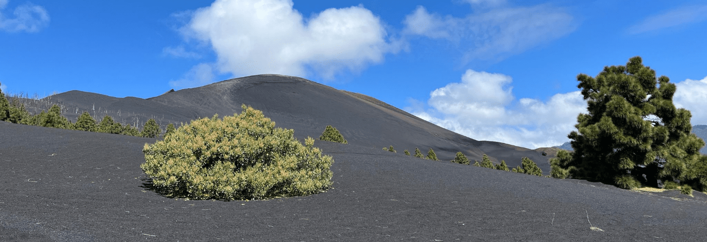 Wandelvakantie La Palma