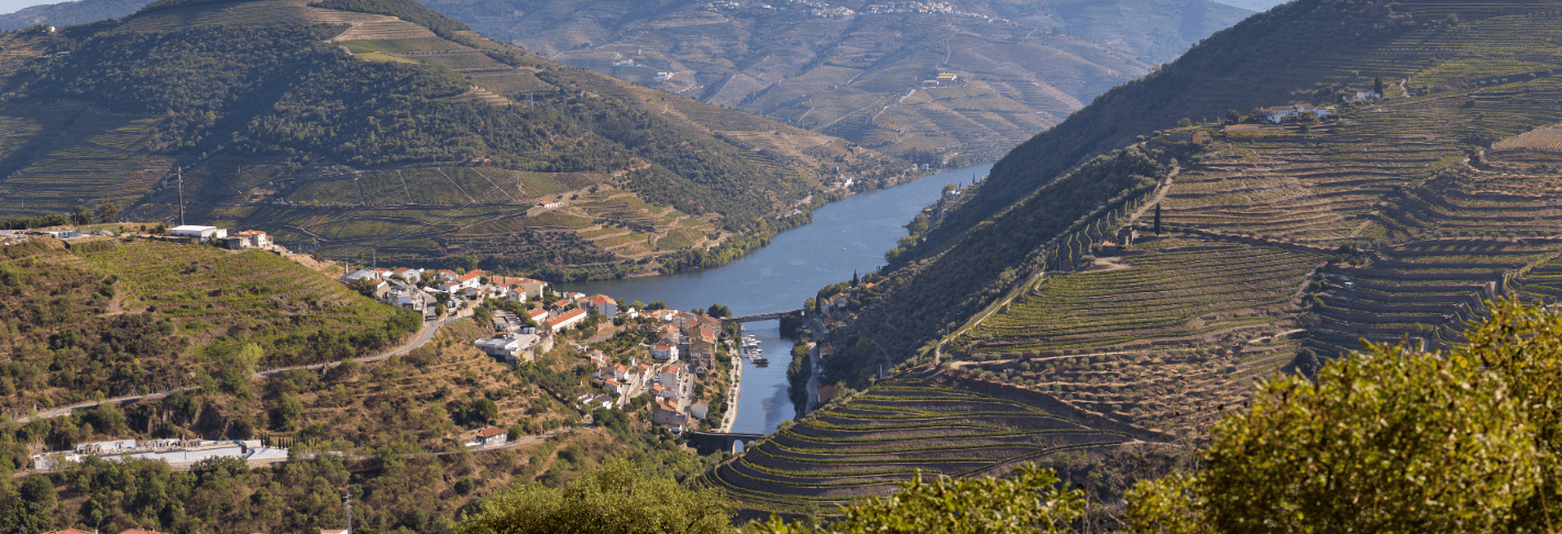 Wandelvakantie Douro