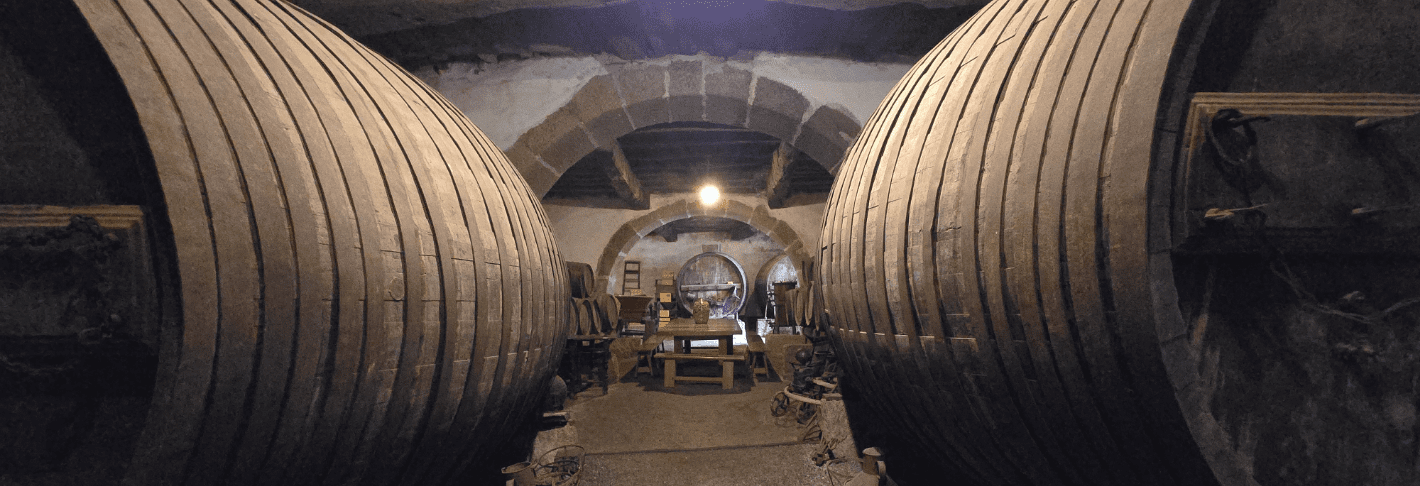 Wandelvakantie Douro