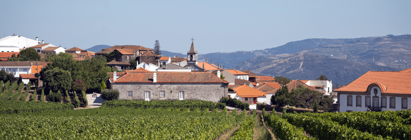Wandelvakantie Douro