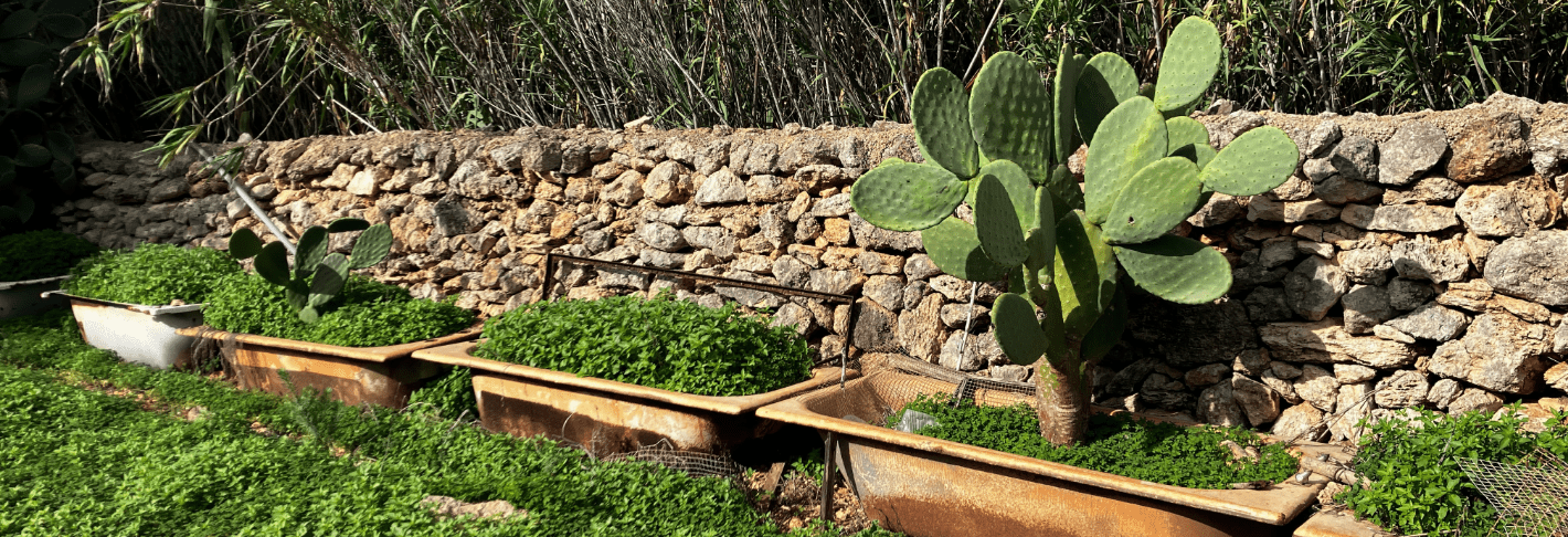 Wandelreis Gozo (Malta)