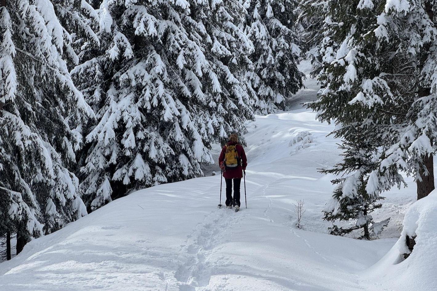Sneeuwschoenwandelen Val di Peio