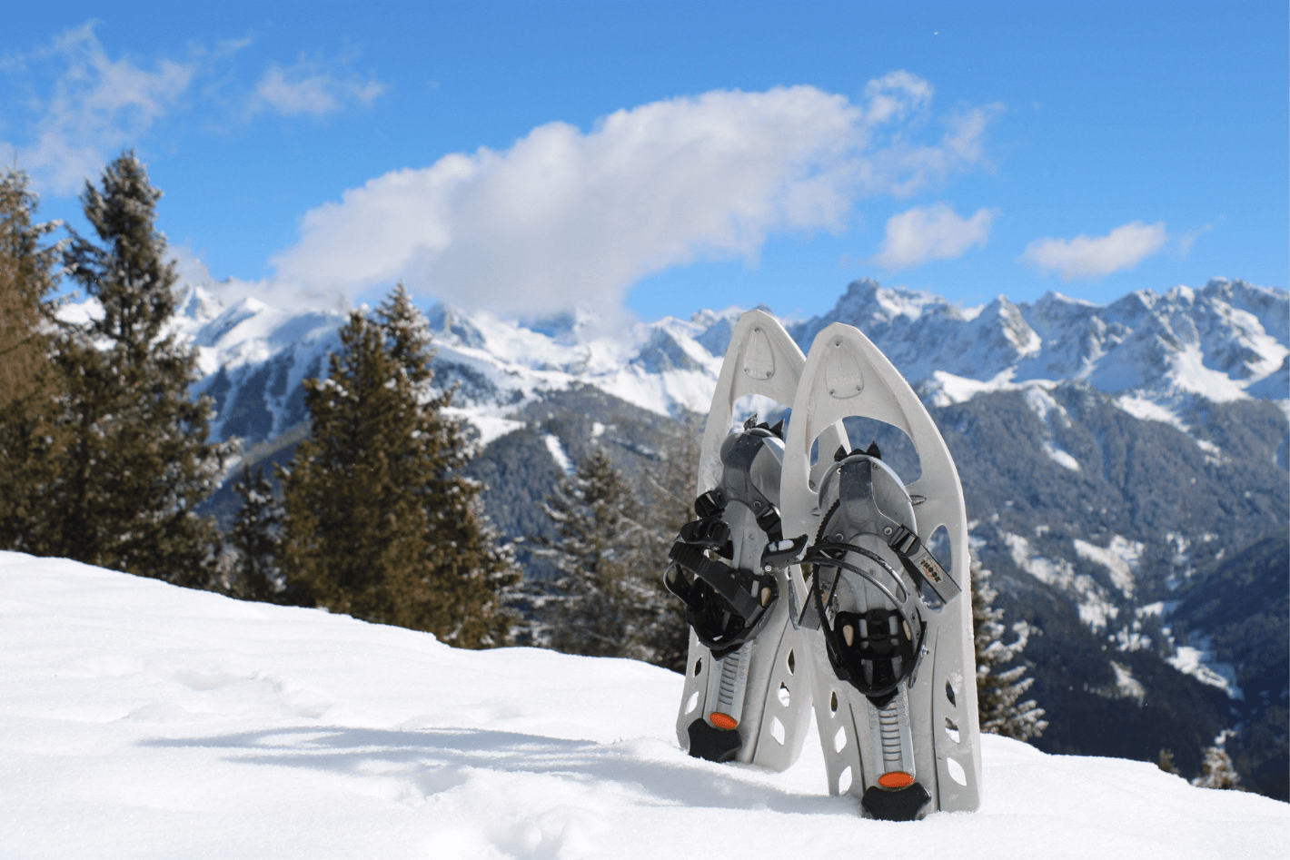 Sneeuwschoenwandelen Val di Fassa