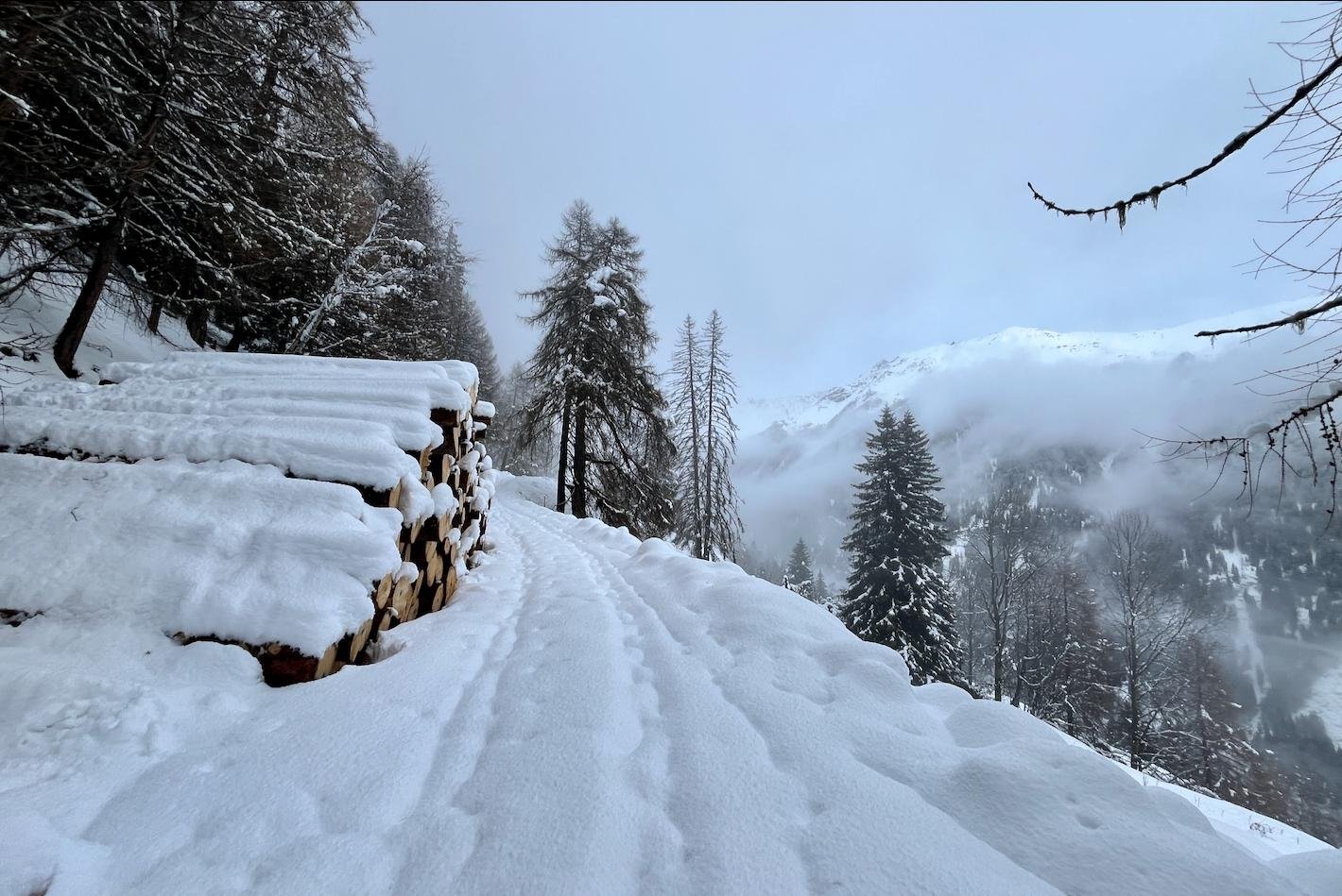 Sneeuwschoenwandelen Val di Peio