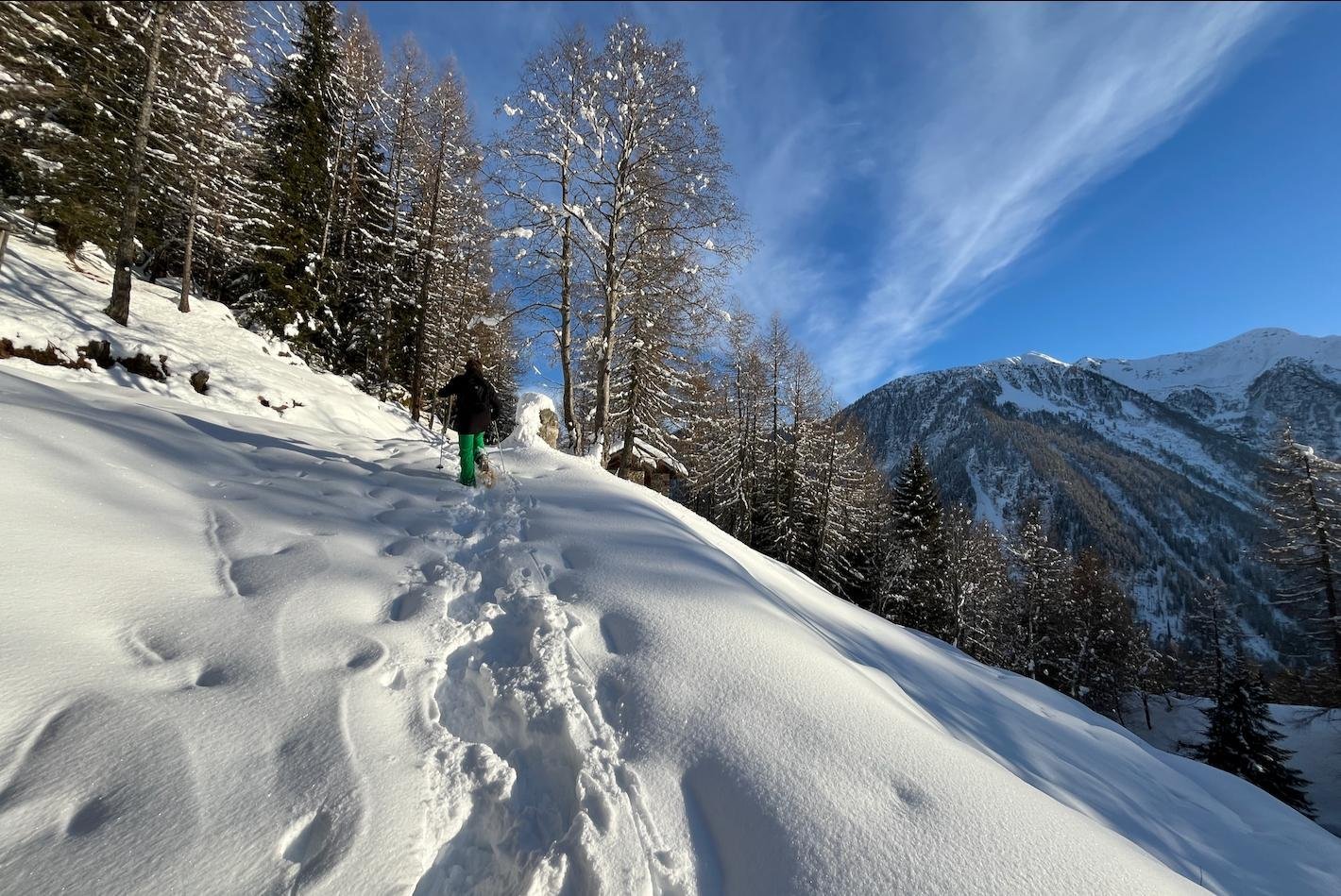 Sneeuwschoenwandelen Val di Peio