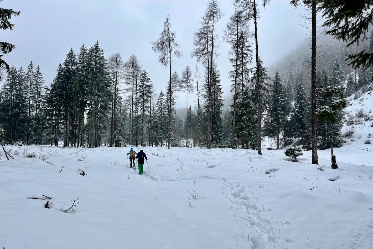 Sneeuwschoenwandelen Val di Peio