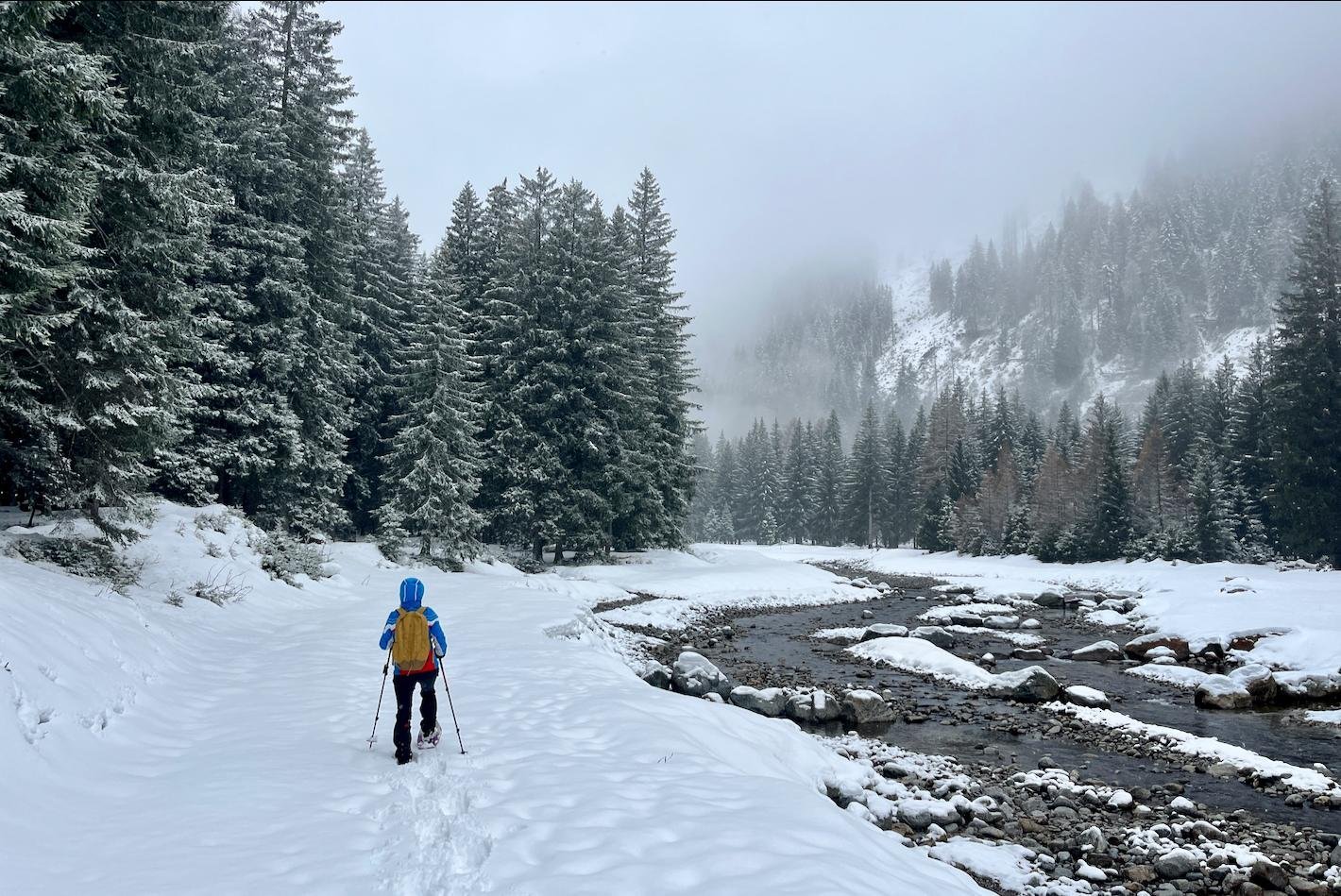 Sneeuwschoenwandelen Val di Peio