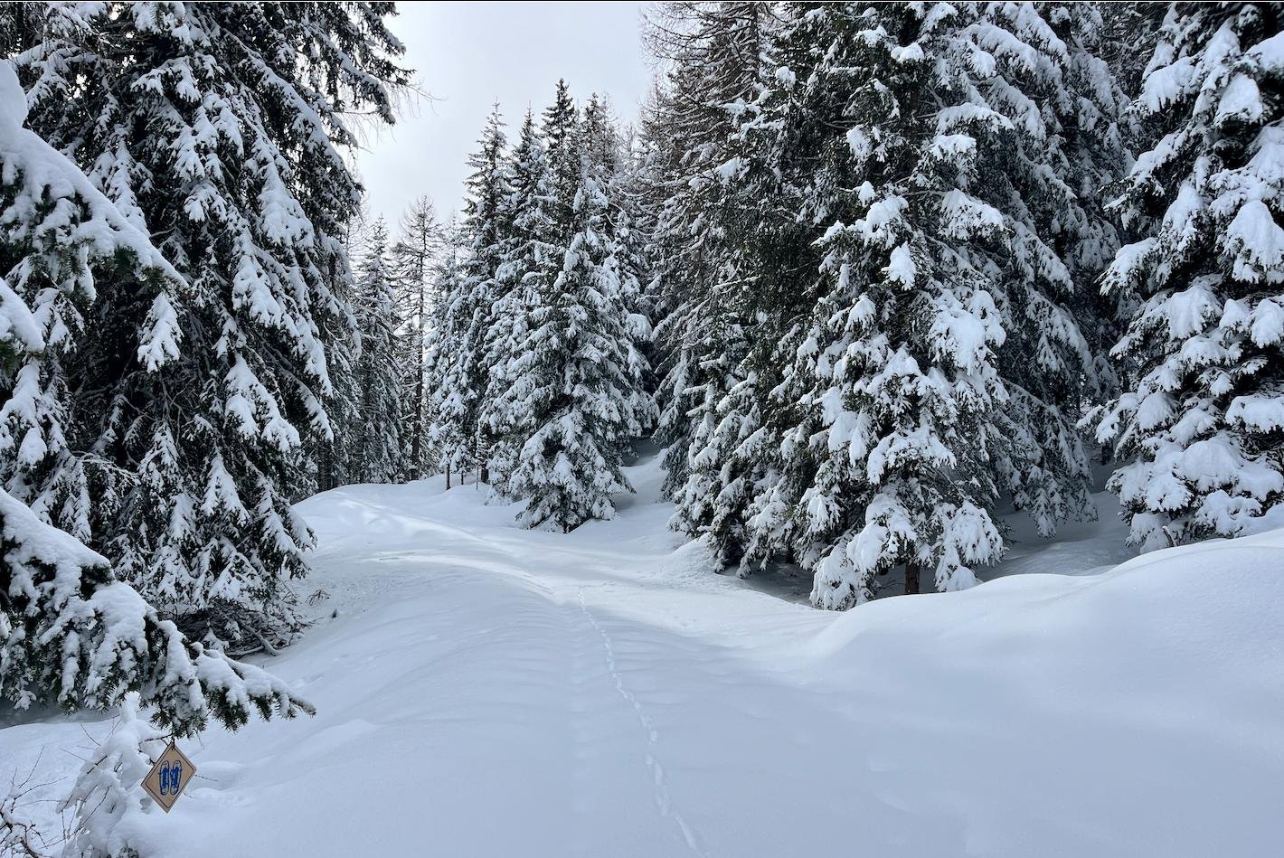 Sneeuwschoenwandelen Val di Peio