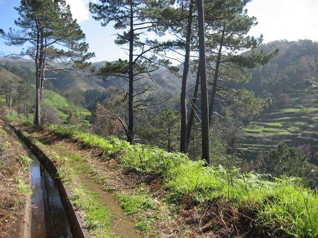 Wandelreis Portugal Madeira 