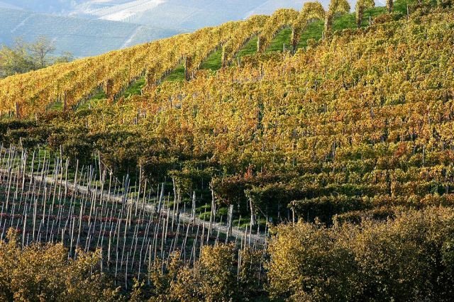 Wandelreis Italië Langhe & Barolo